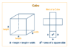 Surface Area of a Cube: Formula & Examples - Curvebreakers