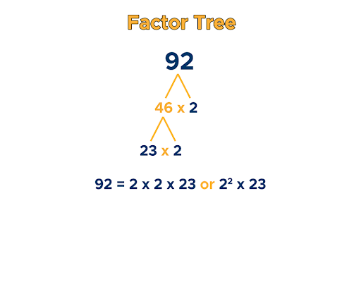 Prime Numbers: Factorization & Factor Tree - Curvebreakers