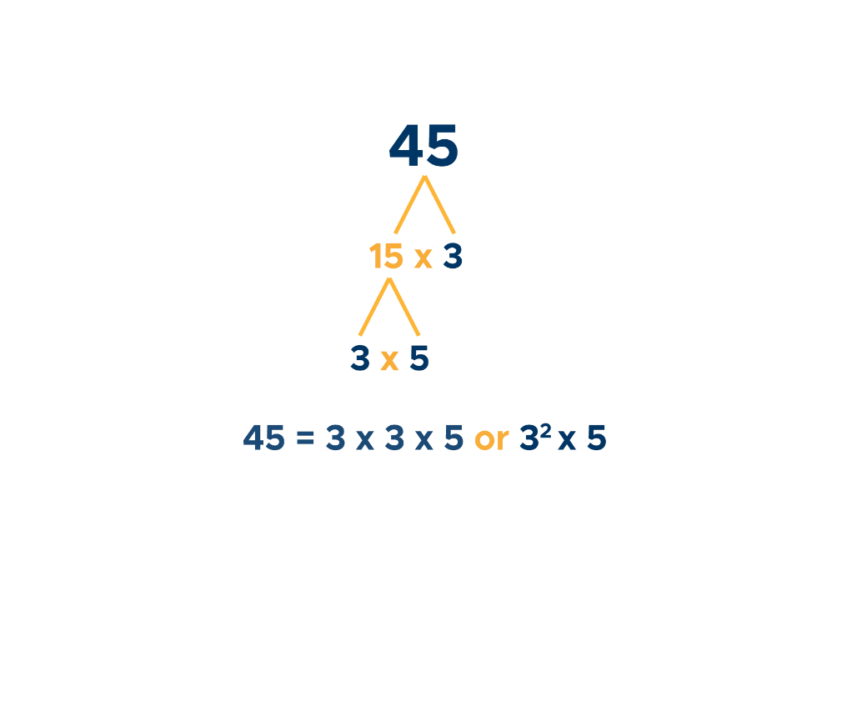 Prime Numbers: Factorization & Factor Tree - Curvebreakers