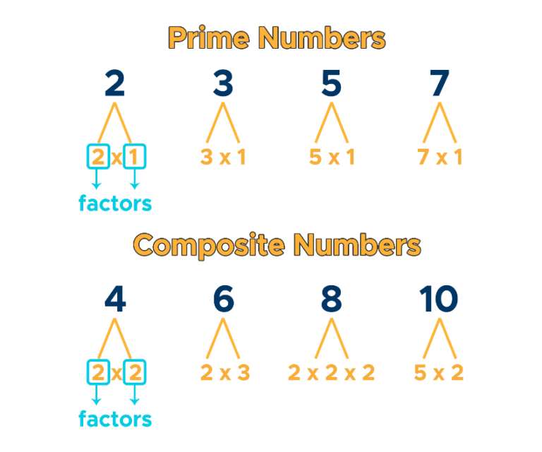 Prime Numbers Factorization & Factor Tree Curvebreakers